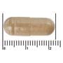 Etos Premium IJzer 60 stuks