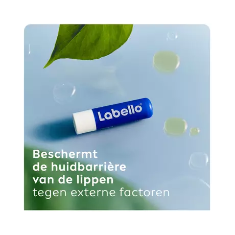 Labello Original 24u Hydratatie Lippenbalsem