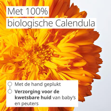 Weleda Calendula Baby Billenbalsem 75 ml
