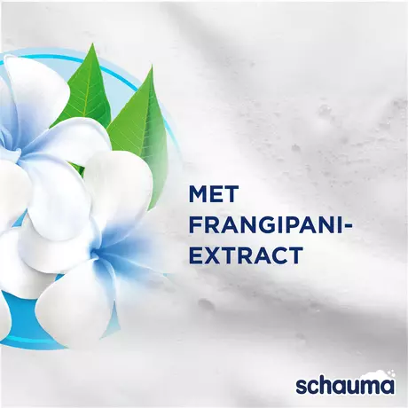 Schauma Conditioner Anti-Klit 250 ML