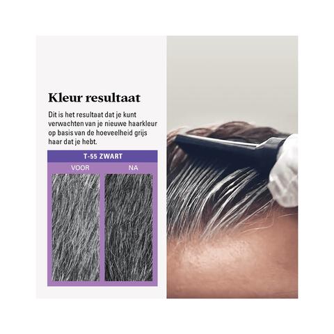 Just For Men Touch of Grey T55