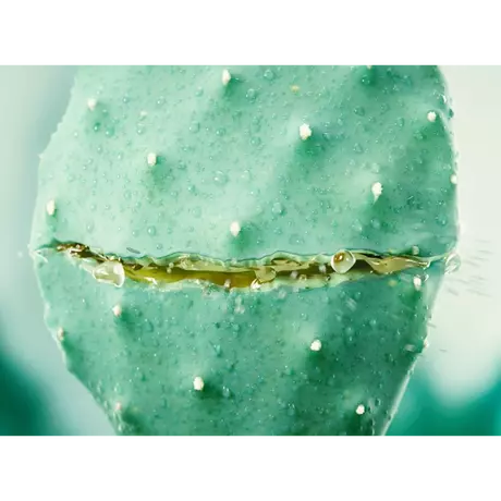 Weleda Vijgencactus Hydraterende Gezichtscrème 30 ML