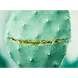 WELEDA Vijgencactus Hydraterende Gezichtscrème 30 ML