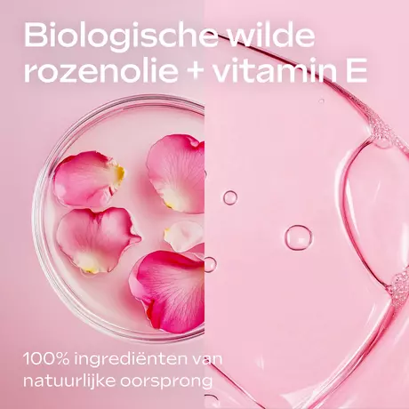 WELEDA Verwennende Wilde Rozen Bodylotion 250 ML&nbsp;