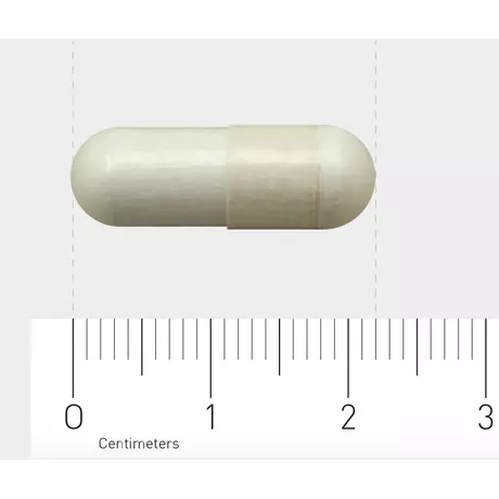 Orthica Orthiflor Original Capsules 120 stuks