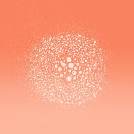 L'Oréal Paris Elvive Dream Lengths Droogshampoo 200 ML