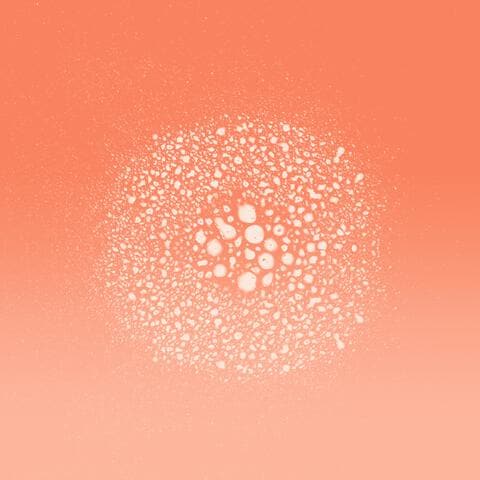 L'Oréal Paris Elvive Dream Lengths Droogshampoo 200 ML