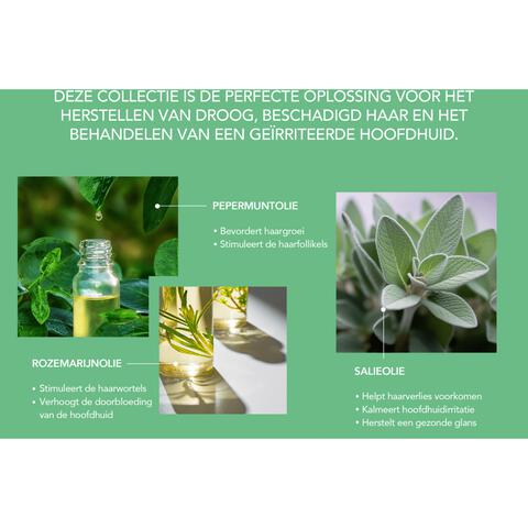 African Pride Peppermint, Rosemary en Sage Versterkend Masker