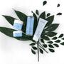 Alma K. Face Care Reviving Eye Cream 20 ML