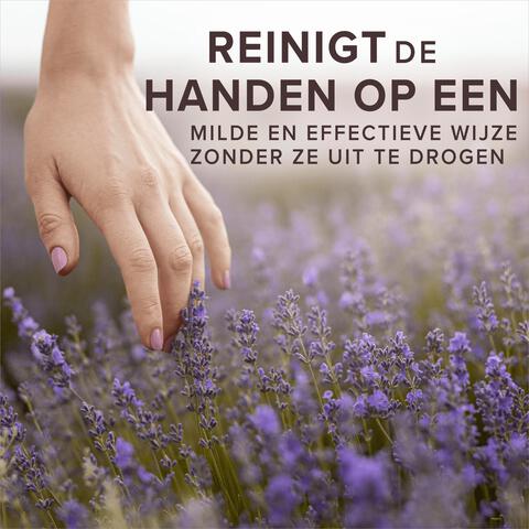 Palmolive Sensorial Escape Lavender & Bergamot Handzeep - 300 ML