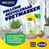 Scholl Expert Care Voetmasker Aloe Vera