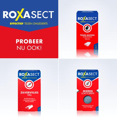 Roxasect Mierenpoeder 75 gram