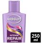 Andrélon Intense Repair Shampoo 250 ML