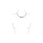 BiSjU Jewellery Ketting met Kleine munten Silver - Stainless Steel