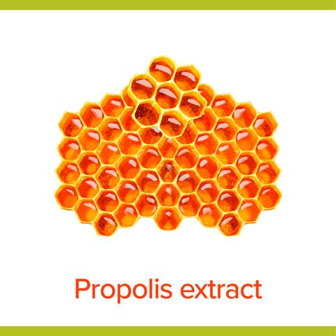 Palmolive Hygiëne Plus Family Antibacteriële Vloeibare Handzeep 500 ML