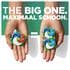 Ariel Big One 15 Stuks