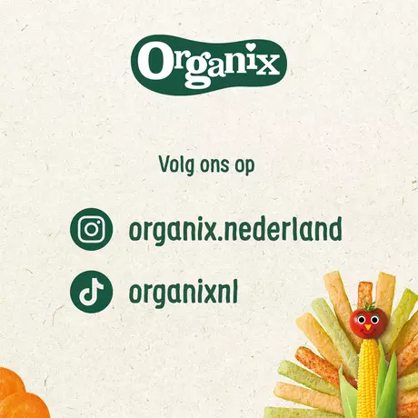 Organix Bio Luchtige Rijstwafeltjes Appel 12+ Maanden 40g