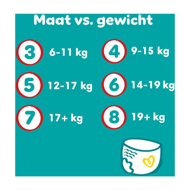 Pampers Baby Dry Pants Luierbroekjes Maat 8 19+ KG 15 stuks