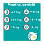 Pampers Baby Dry Pants Luierbroekjes Maat 8 19+ KG 15 stuks