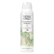 Therme Forest Flower Meditation Anti-Transpirant Spray 150 Ml