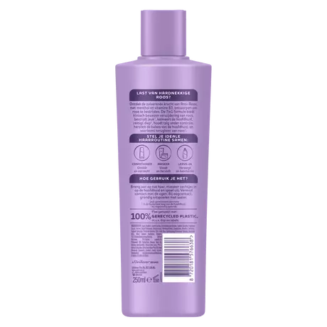 Andrélon Anti-Roos Shampoo 250 ML