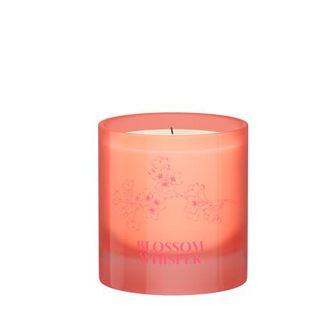 Etos Blossom Whisper Candle 210 Gram