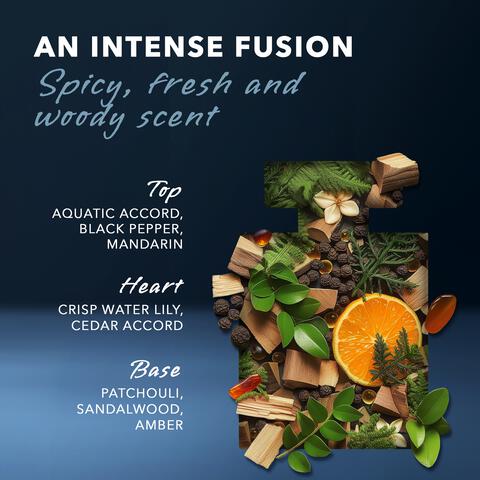 Mexx Black Man eau de toilette 50 ML