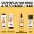 Gliss Kur Brilliant Tonic Droog Beschadigd Haar 100 ML