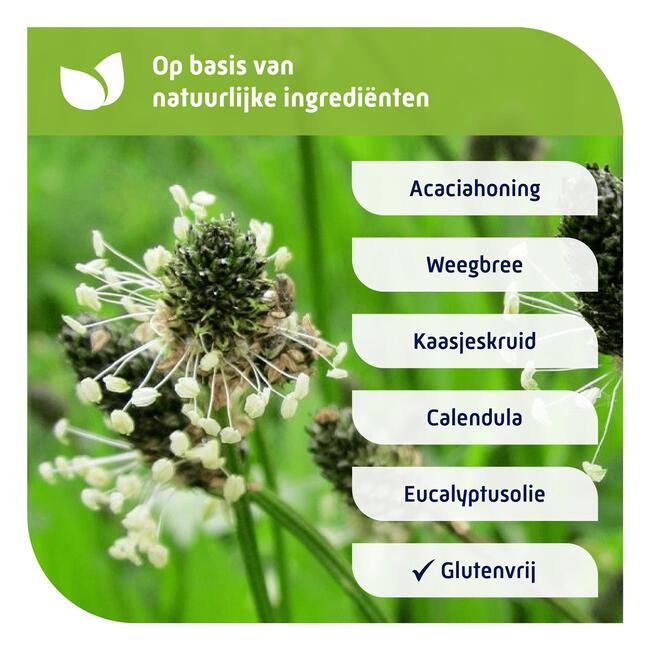 Natterman Voor Alle Hoest 180 ML