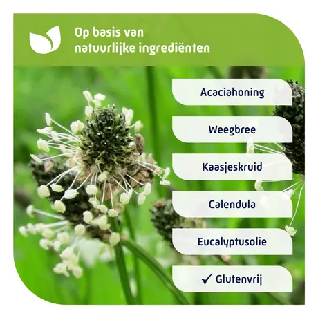 Natterman Voor Alle Hoest Hoestsiroop 180 ML