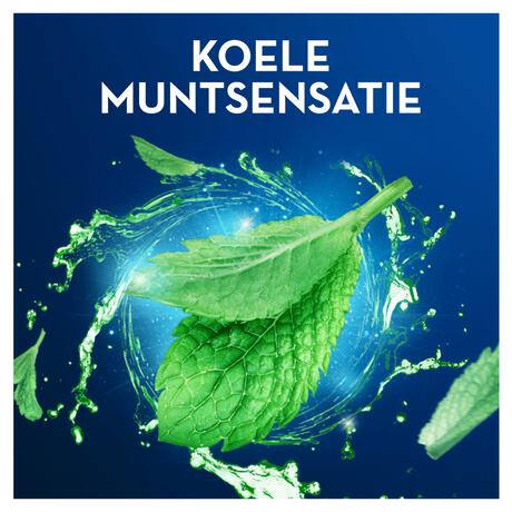 Oral-B Pro-Expert Premium Flosdraad Munt