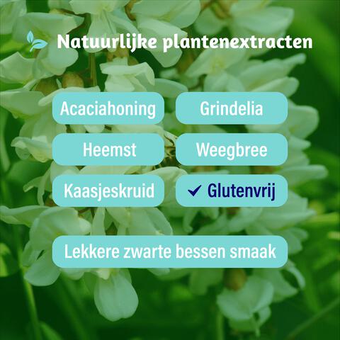 Dampo Kids Alle Hoest 100 ML