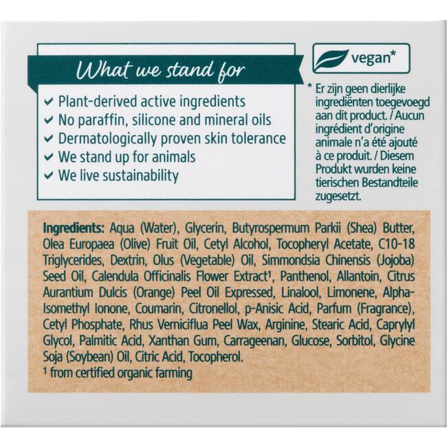 Kneipp Regenerating Sleeping Cream Mindful Skin 50 ML
