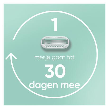 Gillette Venus Smooth Navulmesjes 4 Stuks