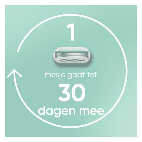Gillette Venus Smooth Navulmesjes 4 Stuks