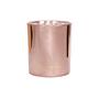 Ted Sparks Demi Candle Wild Rose & Jasmin 