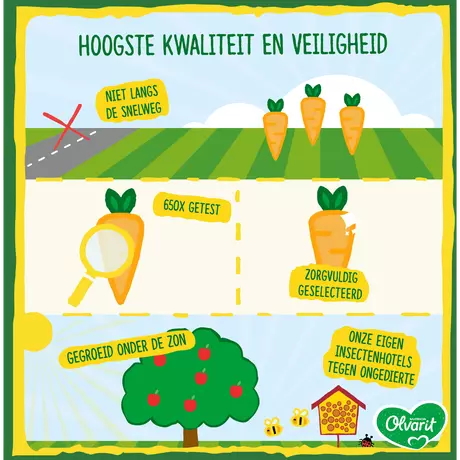 Olvarit Pompoen Kip Aardappel 6+ Maanden 200 gram