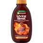 Garnier Loving Blends Gember Boost Shampoo 300 ML