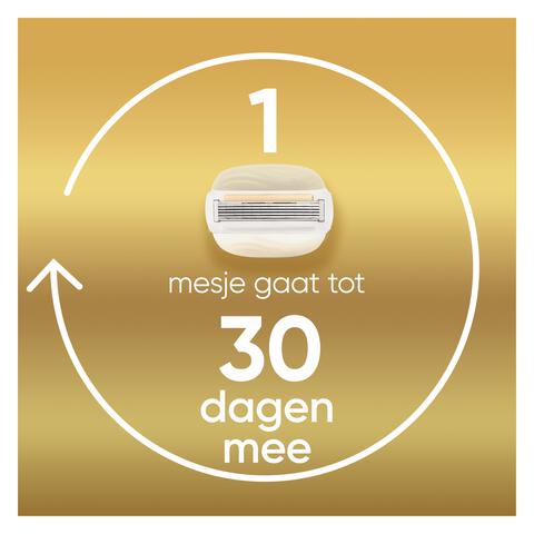 Gillette Venus ComfortGlow Argan Olie Navulmesjes 6 stuks