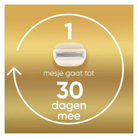 Gillette Venus ComfortGlow Argan Olie Navulmesjes 6 stuks