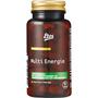 Etos Premium Multi Energie 60 stuks