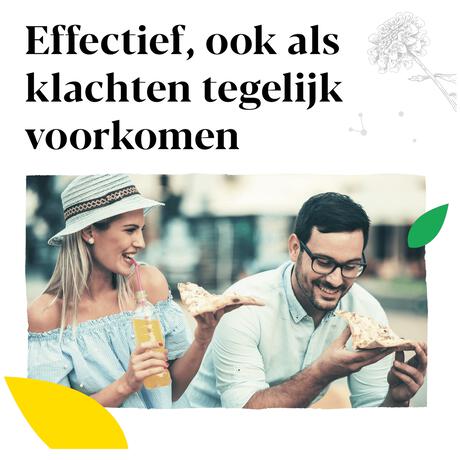 Iberogast Druppels Bij Prikkelbare Maag- En Darmklachten 50 ML