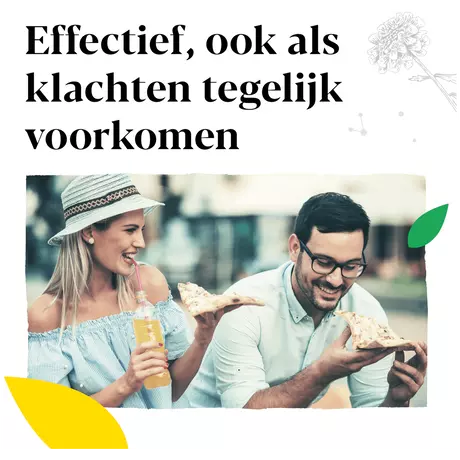Iberogast Druppels Bij Prikkelbare Maag- En Darmklachten 50 ML