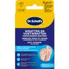 Dr.Scholl&rsquo;s Wratten en Voetwratten Verwijderpleisters 3x7Strips&nbsp;