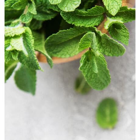 NIVEA MEN Energy Douchegel 3-in-1 Mini 50 ML