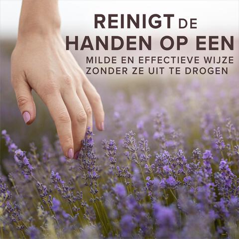 Palmolive Sensorial Escape Lavender & Bergamot Handzeep - 300 ML