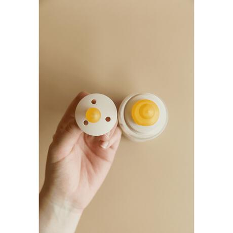 Bibs Bottle Nipple Flesspeen Slow Flow 2 pack&nbsp;