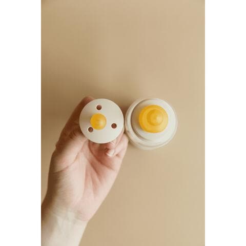 Bibs Bottle Nipple Flesspeen Slow Flow 2 pack&nbsp;