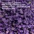 WELEDA Relax Lavendel Douchecrème 400 ML