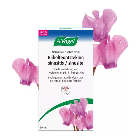 A.Vogel Bijholte Onsteking�Neusspray 50 MG